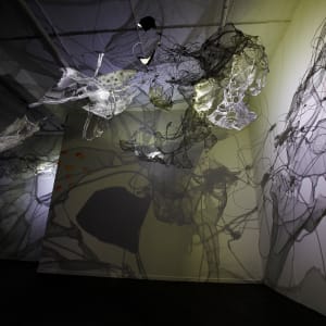 Shadow Matrix Evolution by Dana Major 