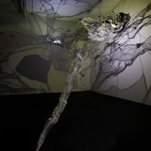 Shadow Matrix Evolution by Dana Major 