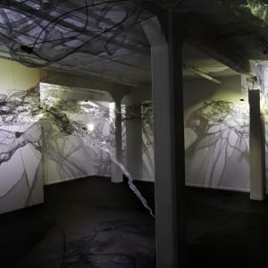 Shadow Matrix Evolution by Dana Major 