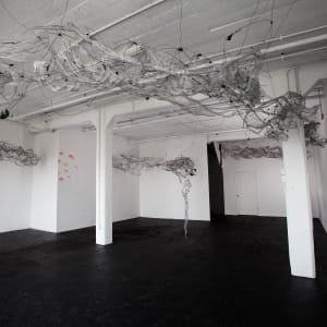 Shadow Matrix Evolution by Dana Major 