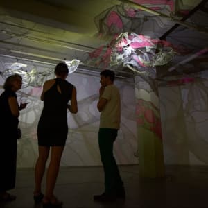 Lightsense by Dana Major 