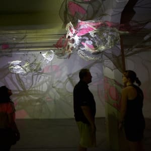 Lightsense by Dana Major 