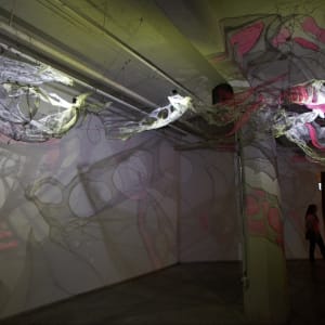 Lightsense by Dana Major 