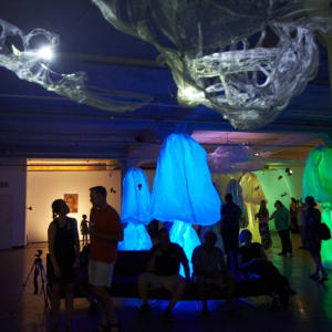 Lightsense by Dana Major 