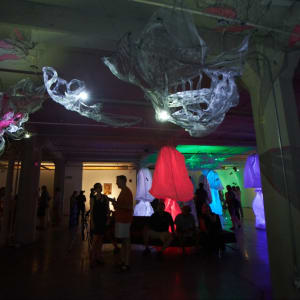 Lightsense by Dana Major 