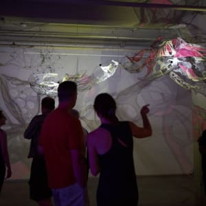 Lightsense by Dana Major 