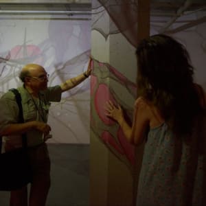 Lightsense by Dana Major 