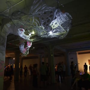 Lightsense by Dana Major 