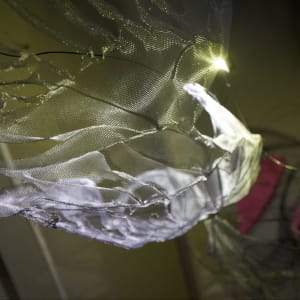 Lightsense by Dana Major 