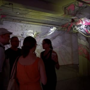 Lightsense by Dana Major 