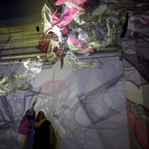 Lightsense by Dana Major 