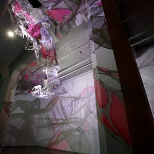 Lightsense by Dana Major 