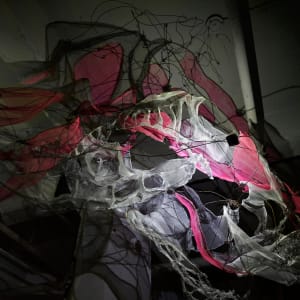 Lightsense by Dana Major 