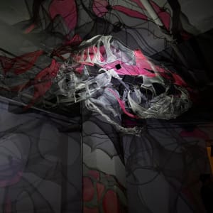 Lightsense by Dana Major 