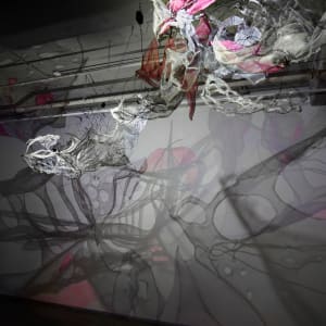 Lightsense by Dana Major 