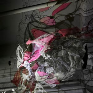 Lightsense by Dana Major 