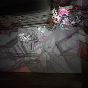 Lightsense by Dana Major 