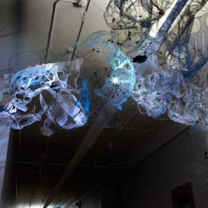 Tangled up in Blue by Dana Major 