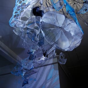 Tangled up in Blue by Dana Major 