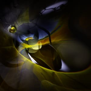 Fortune by Dana Major 