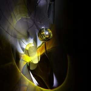 Fortune by Dana Major 