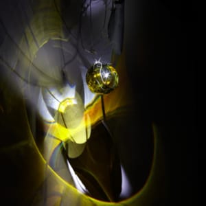 Fortune by Dana Major 