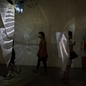 Mana Open Studio by Dana Major 
