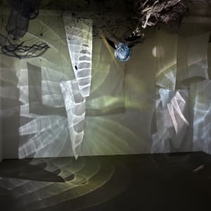 Mana Open Studio by Dana Major 