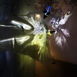 Mana Open Studio by Dana Major 