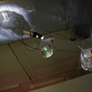 Sightings by Dana Major 