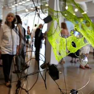 Hybrid's Paradise by Dana Major 