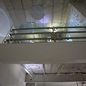 Hybrid's Paradise by Dana Major 