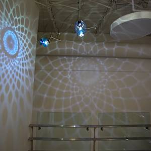 Hybrid's Paradise by Dana Major 