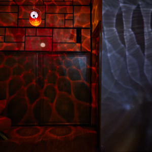 THAW X by Dana Major 