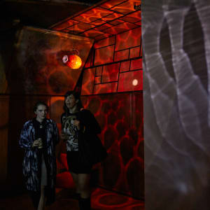 THAW X by Dana Major 