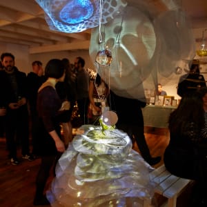 Crystal Ball by Dana Major 