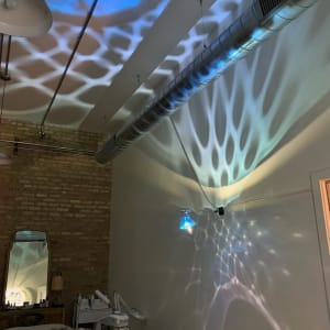 Altruistic Esthetics Installation by Dana Major 