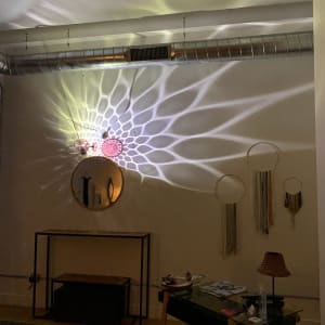 Altruistic Esthetics Installation by Dana Major 