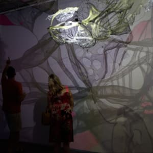 Lightsense by Dana Major 