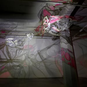 Lightsense by Dana Major 