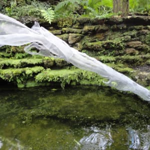 Fern Room Pond Installation by Dana Major 