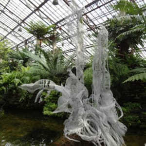 Fern Room Pond Installation by Dana Major 