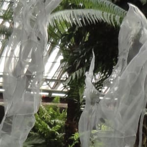 Fern Room Pond Installation by Dana Major 