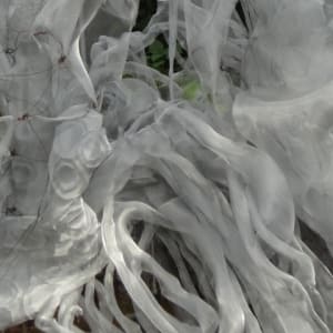 Fern Room Pond Installation by Dana Major 