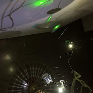 Hybrid's Paradise by Dana Major 