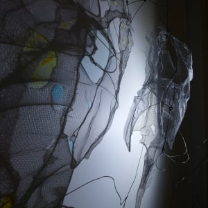 Proximity by Dana Major 