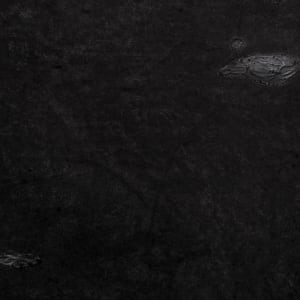 The Epistle by Dana Major 