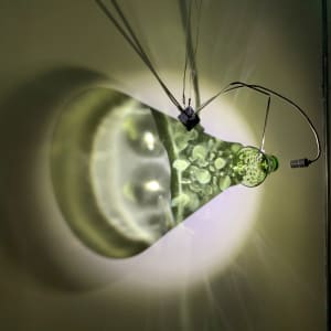 Altruistic Esthetics Installation by Dana Major 