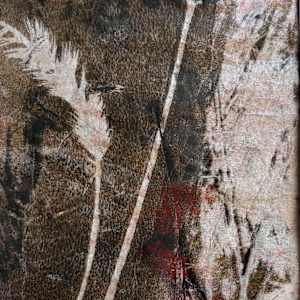 Seasonal Divide by Barbara  Abram