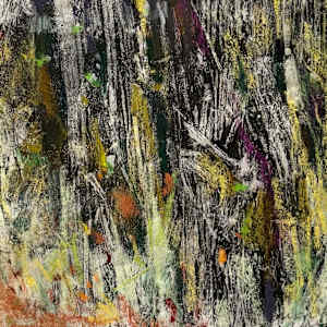 Storm at Swan Lake by Barbara  Abram, Image 1.
